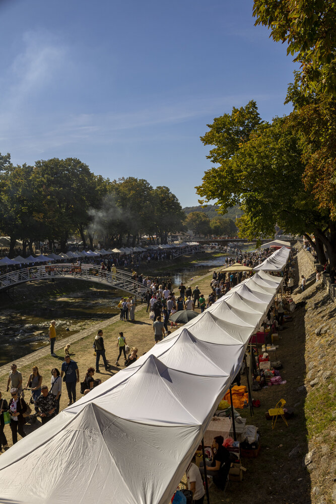 The Riverbank Fair