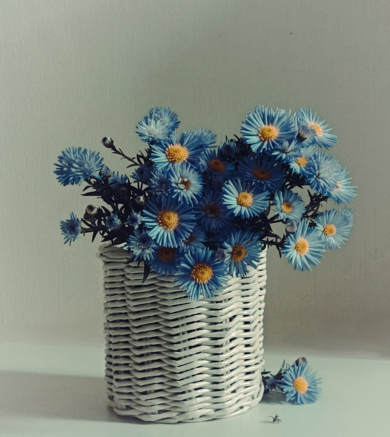 Photo #14161384