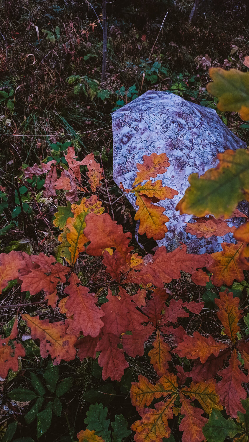 Photo #14161792