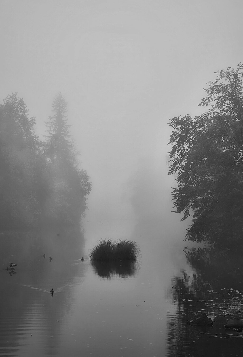Photo #14161900