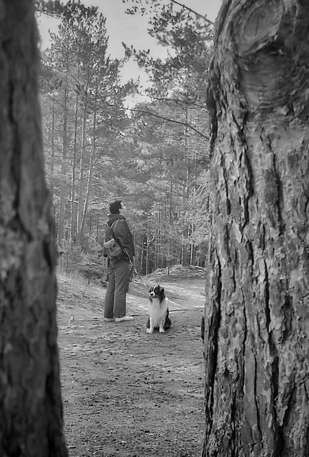 Photo #14161902