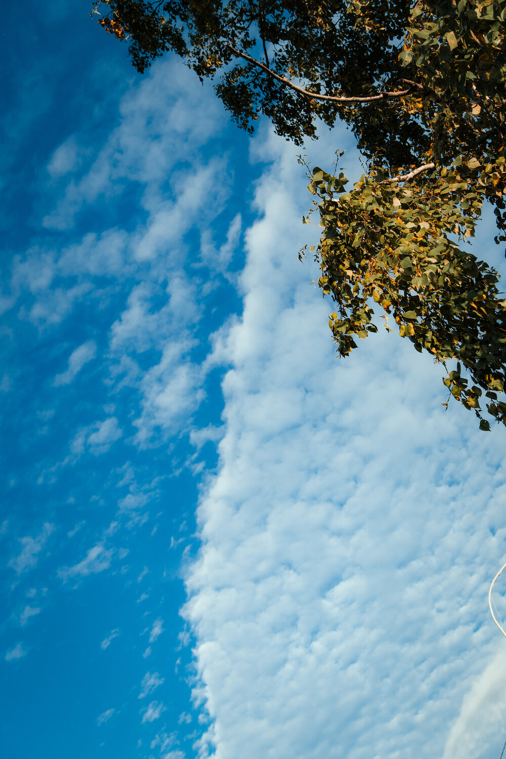 Photo #14162393