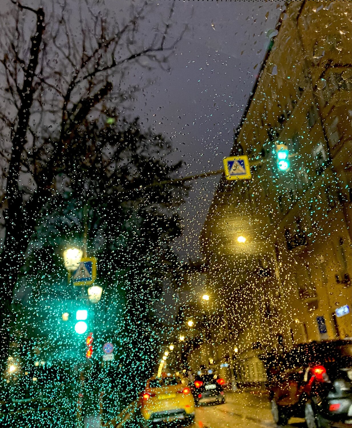 Photo #14162676
