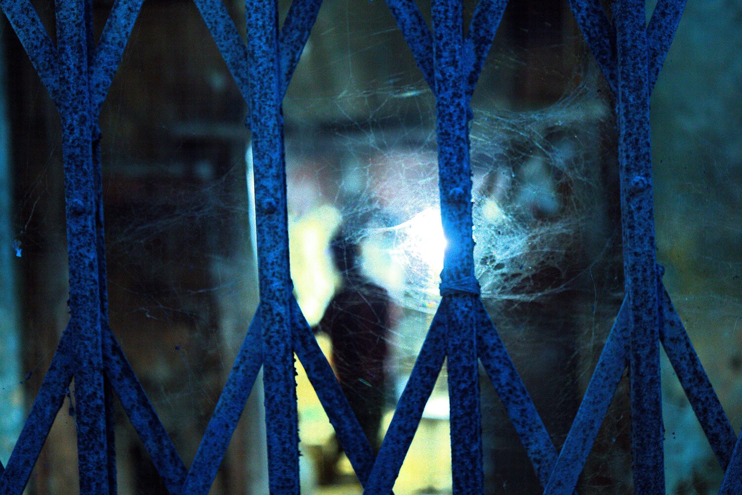 Photo #14162997