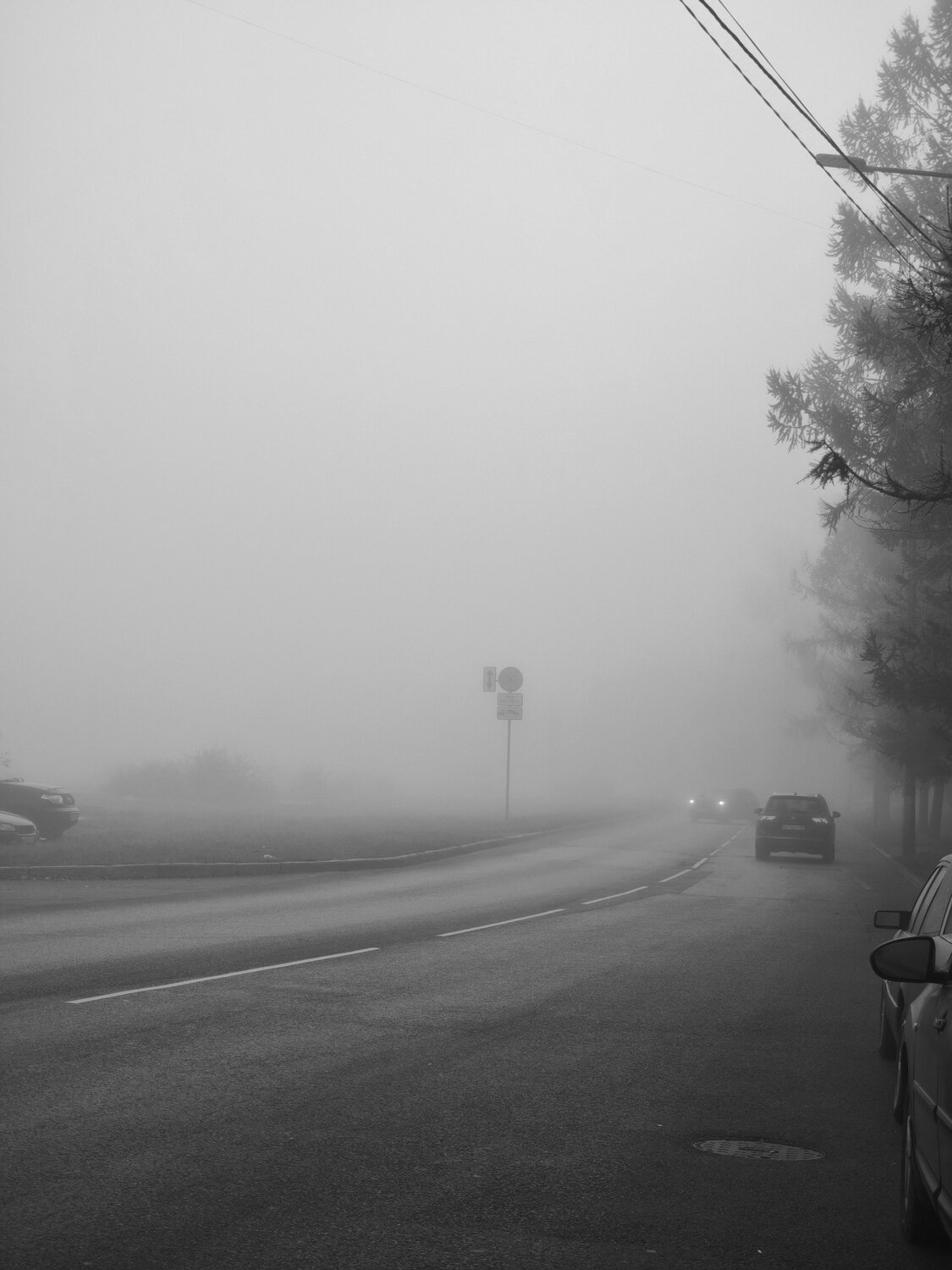Photo #14163082
