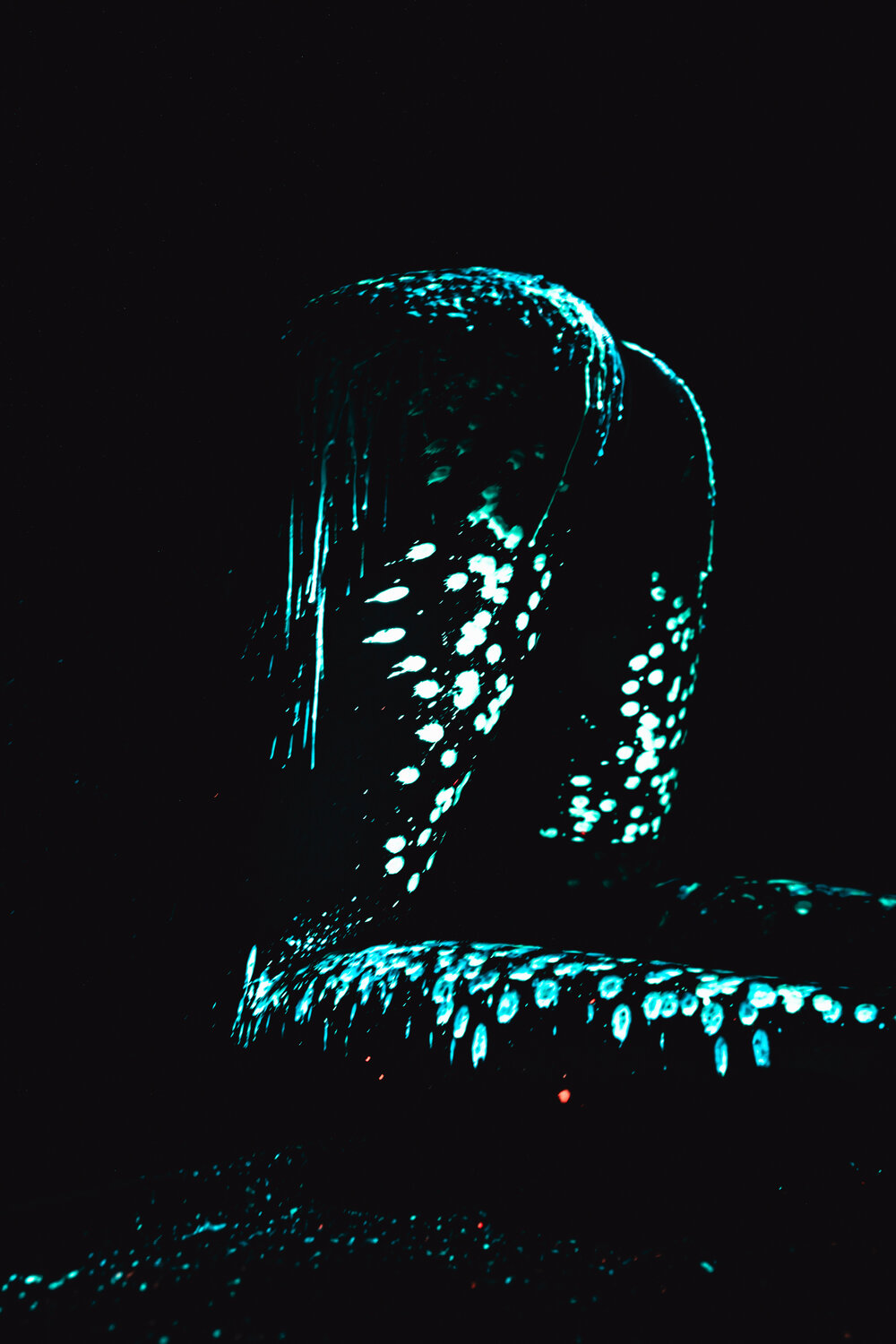 Photo #14163266