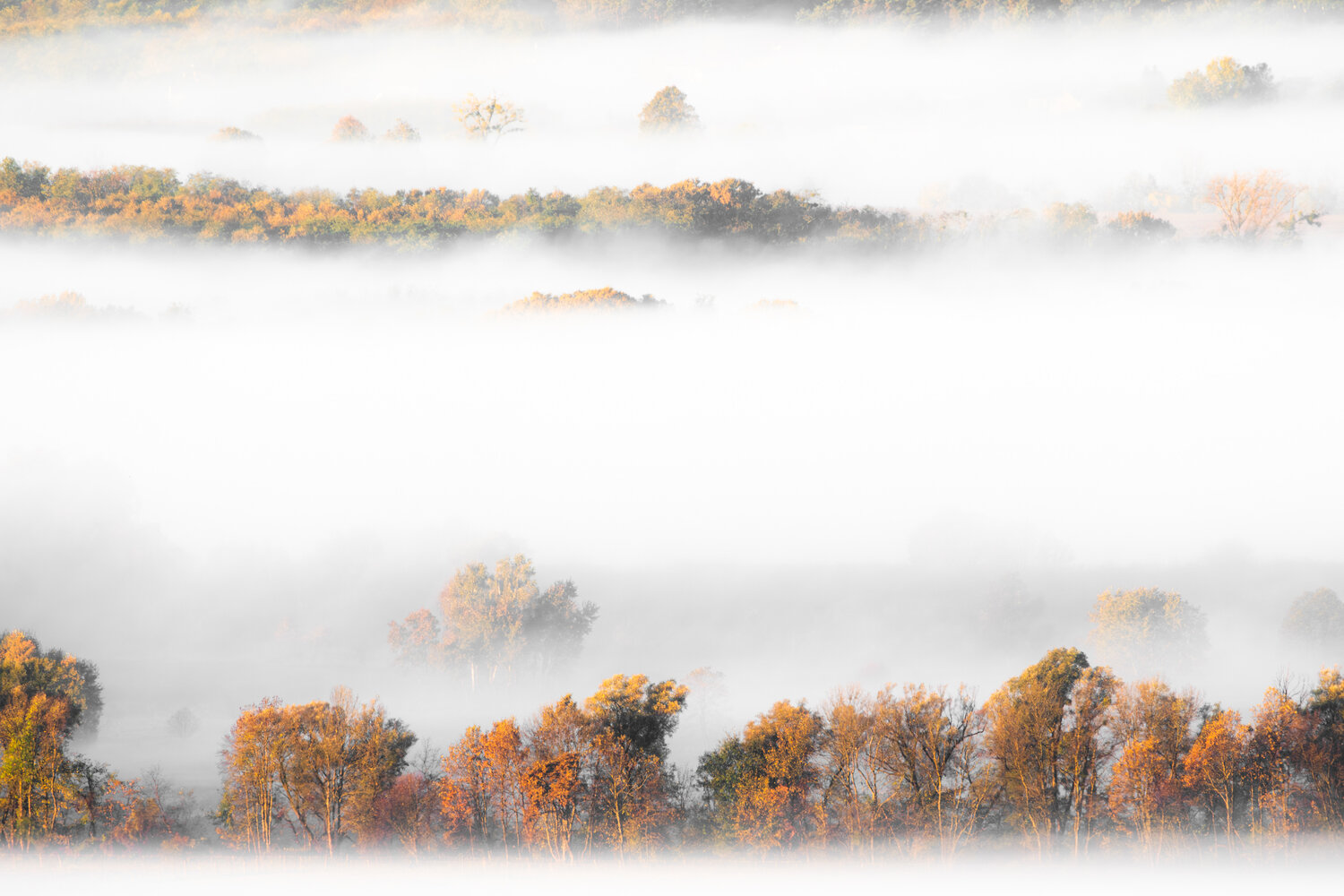 Photo #14163686