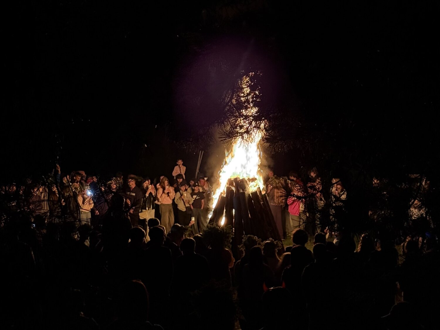 Photo #14163687