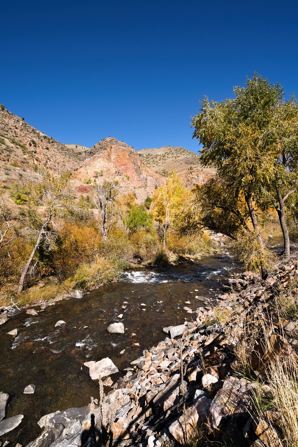 Golden Waters of the Autumn Canyon