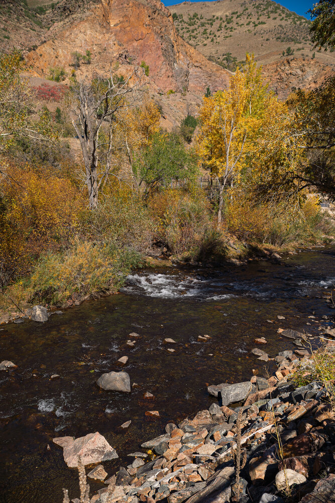 Golden Waters of the Autumn Canyon