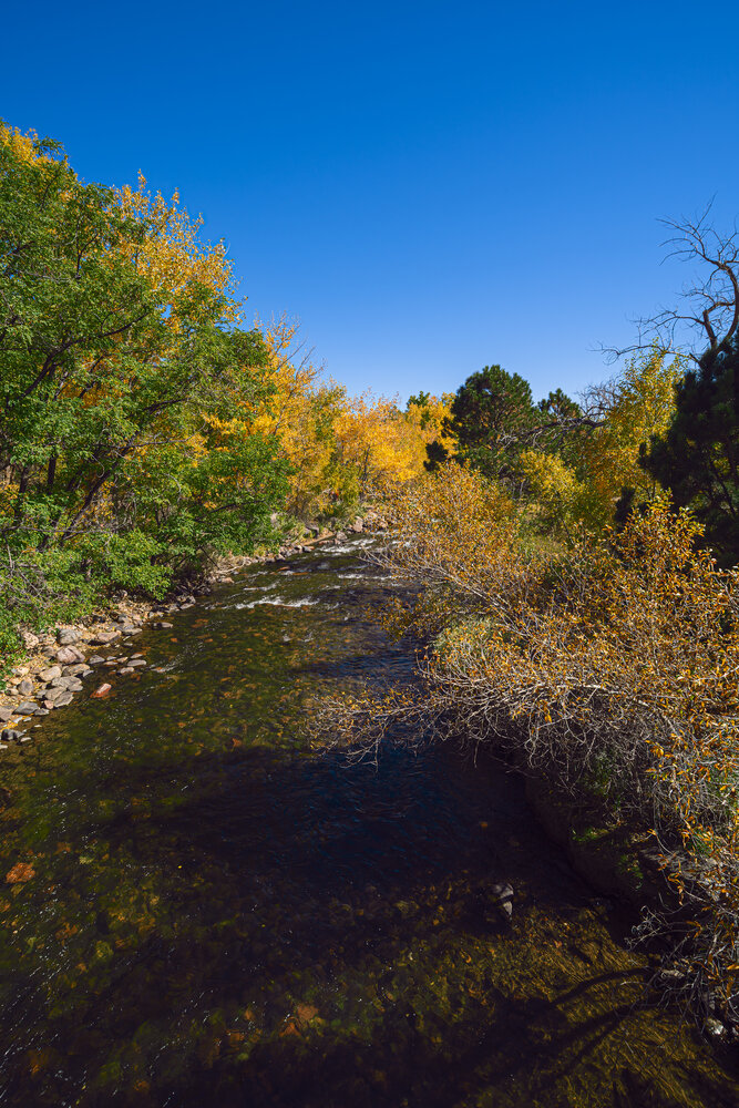 Golden Waters of the Autumn Canyon
