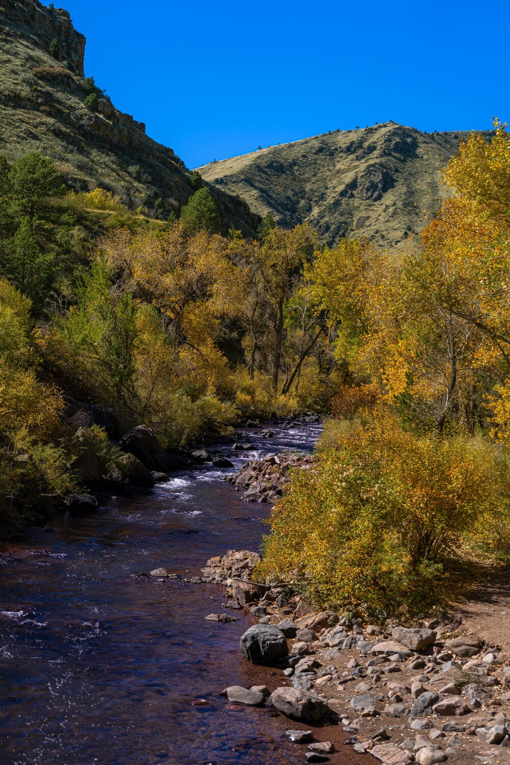 Golden Waters of the Autumn Canyon