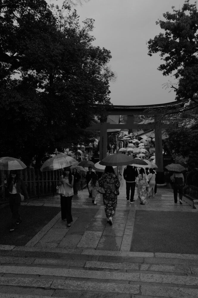 A River of Umbrellas