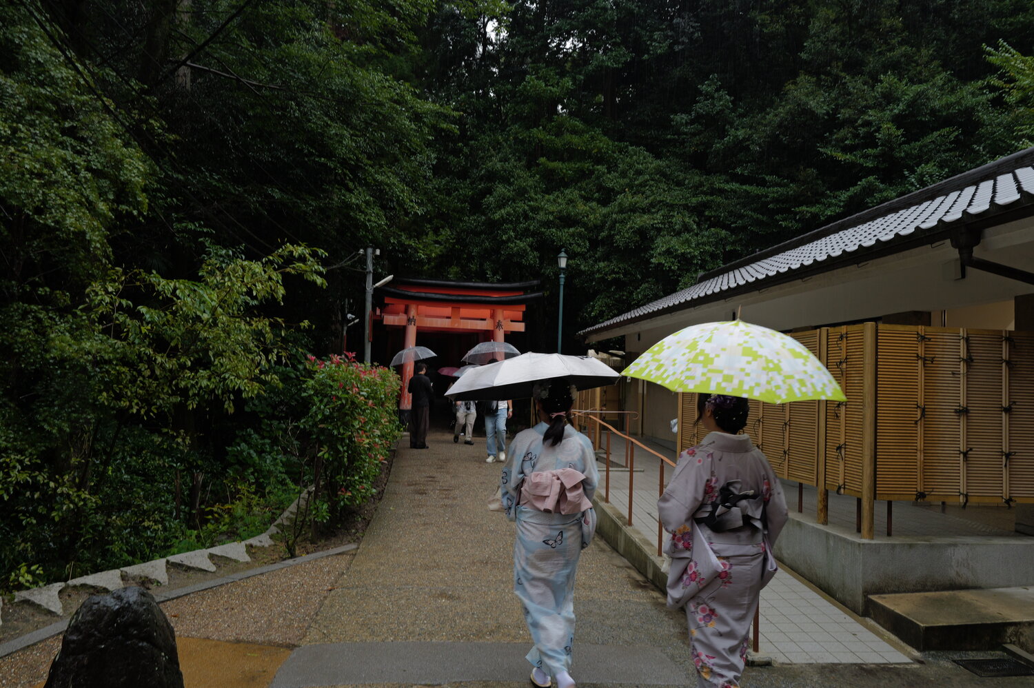 A Path Beneath Umbrellas