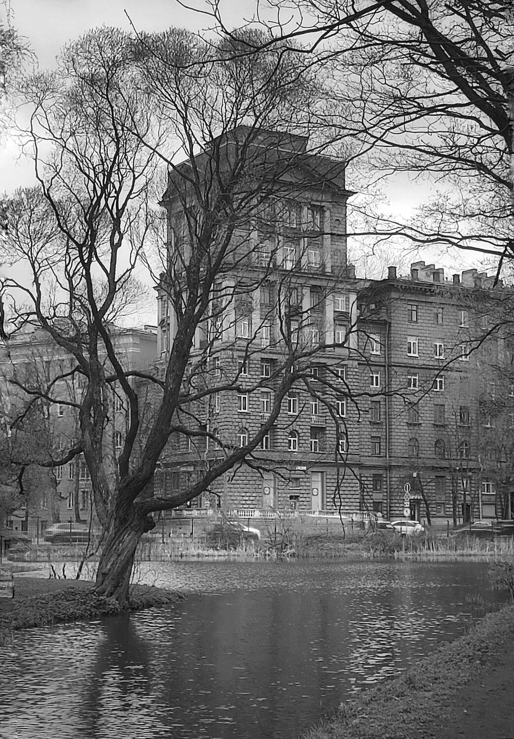 Photo #14164652