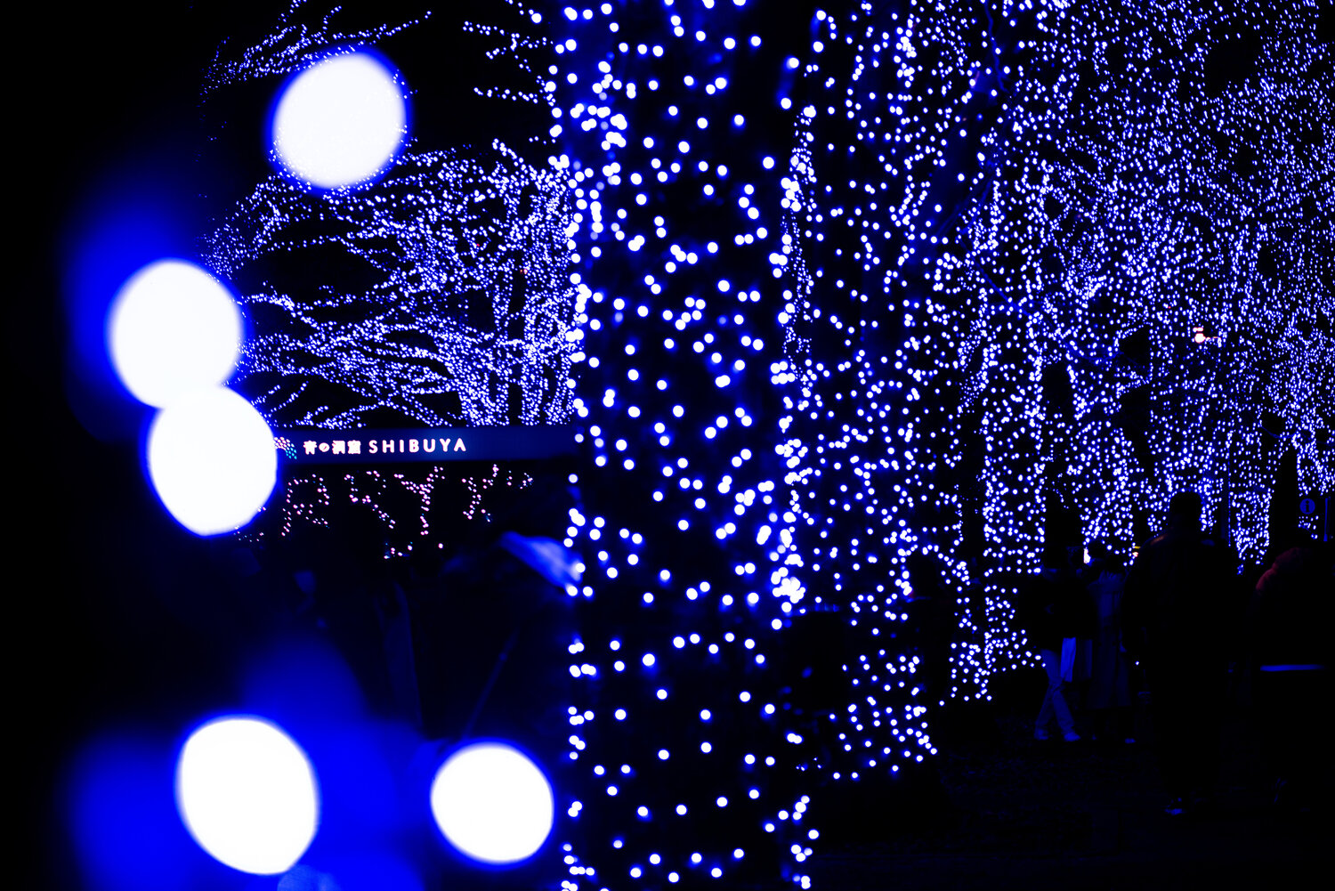 Photo #14164660