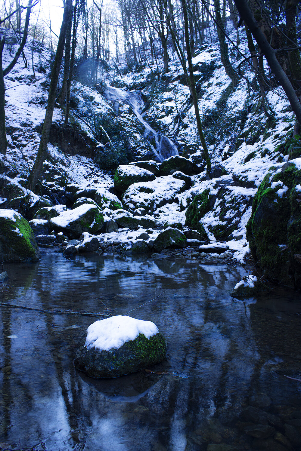 Photo #14164682