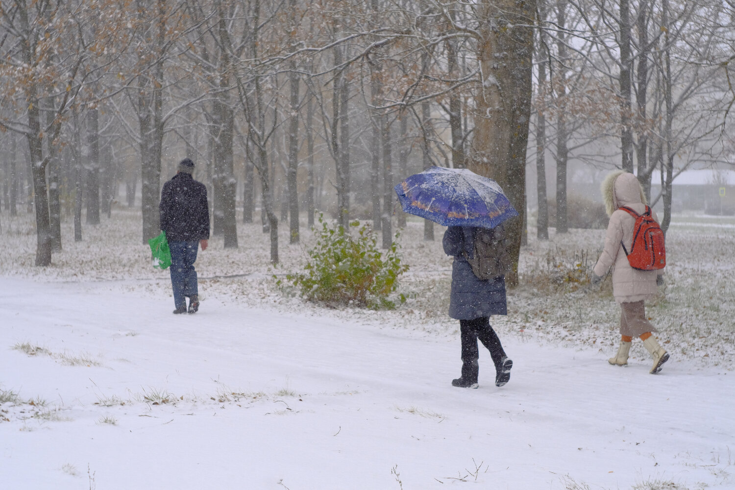 Photo #14164997