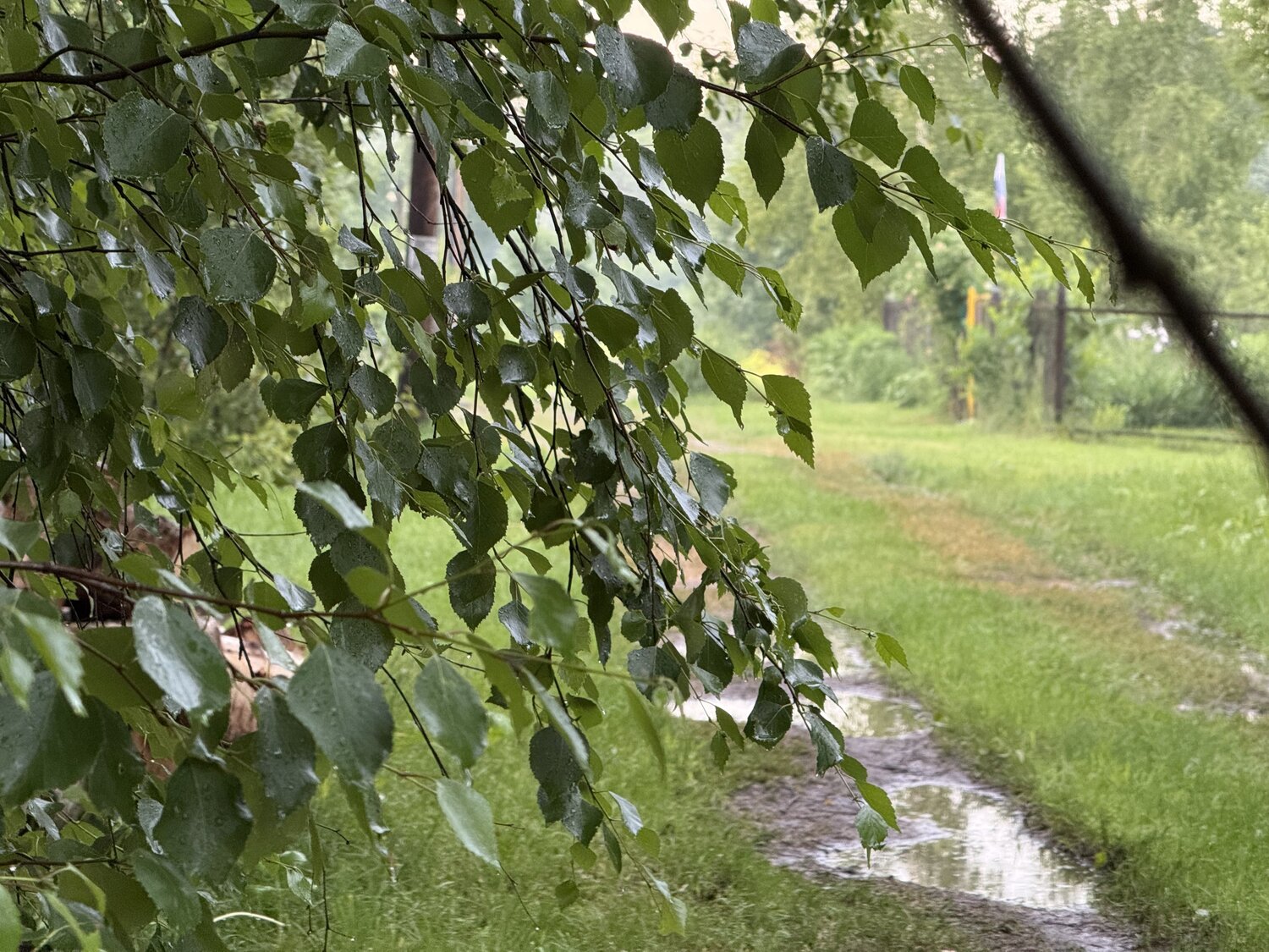Photo #14165144