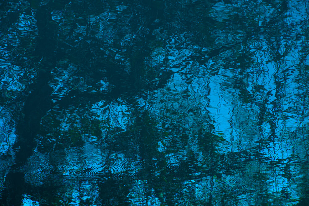 Blue Reverie