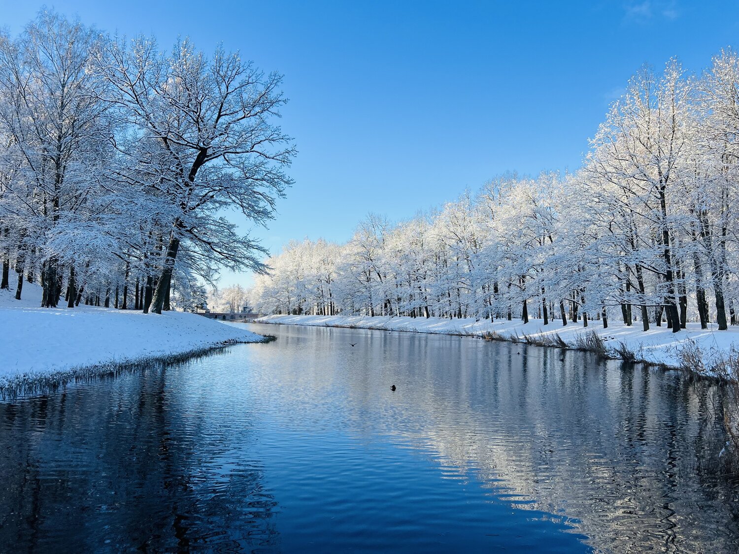Photo #14165559