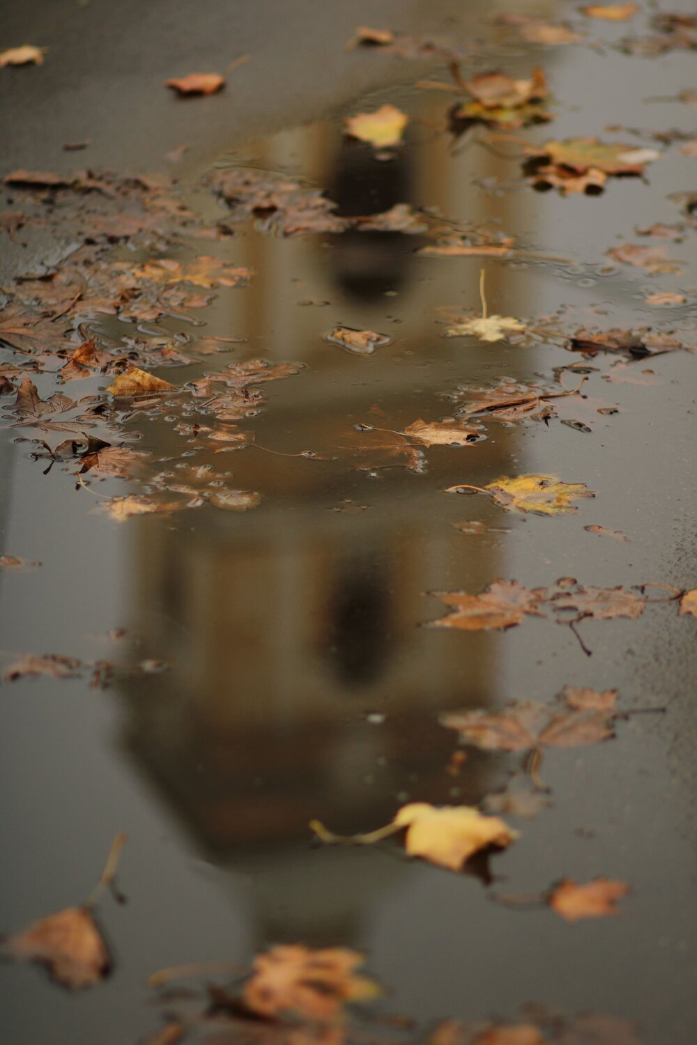 Photo #14165640