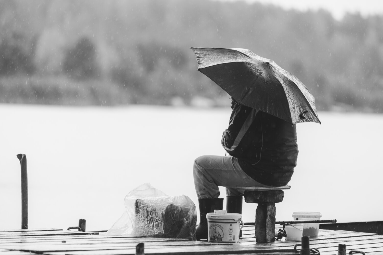 Photo #14165737
