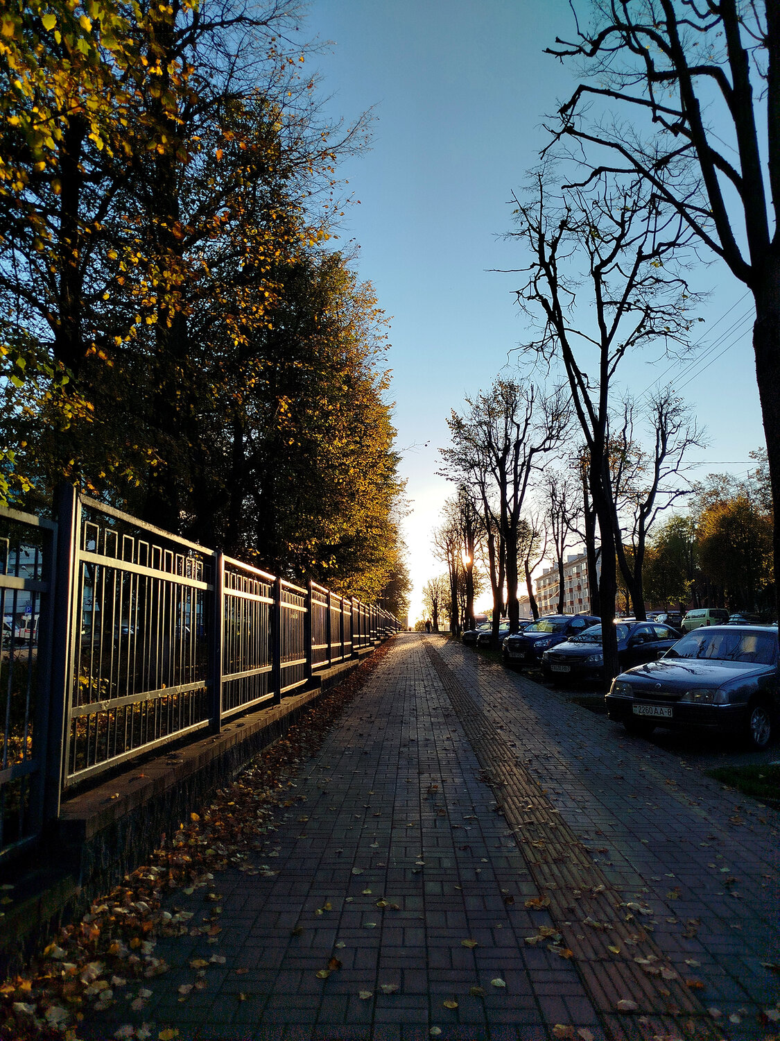 Осенним вечером