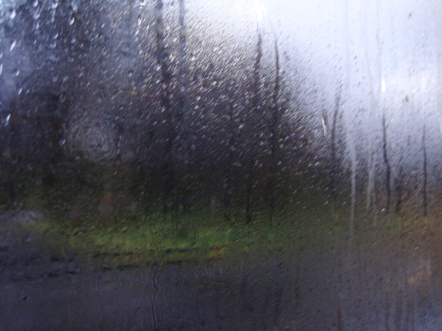 Photo #14166317