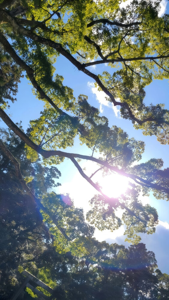Where the Sun Is Held