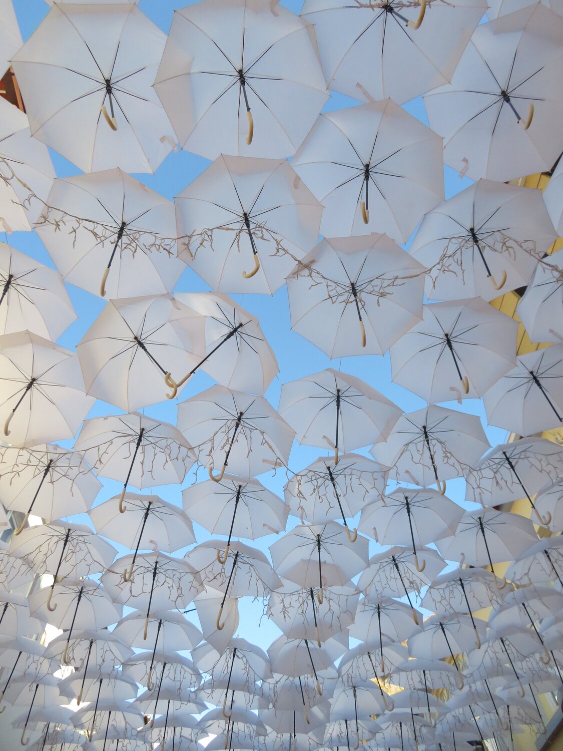 White umbrellas