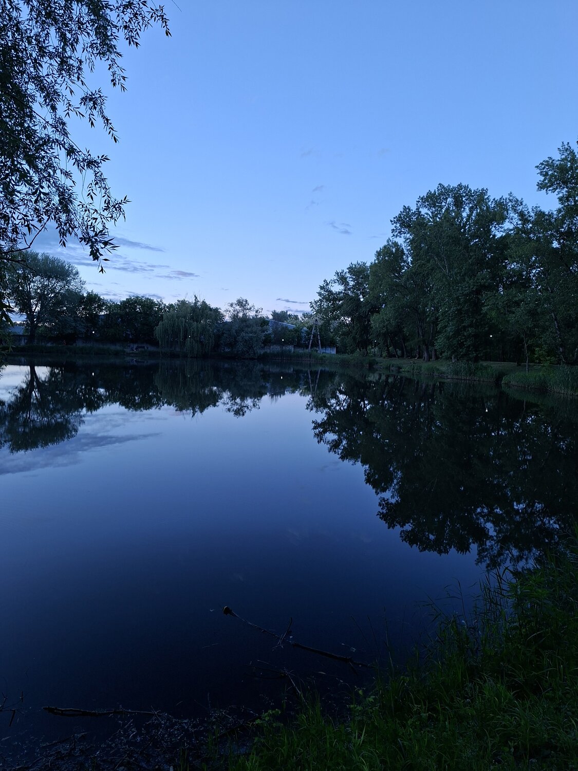 Photo #14166399