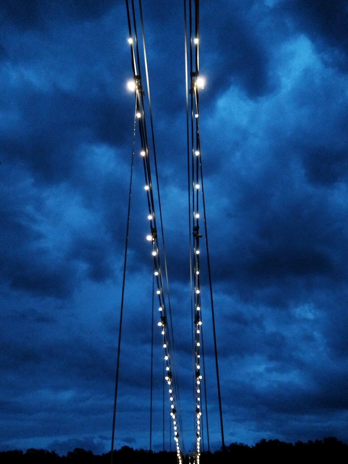 Photo #14166443
