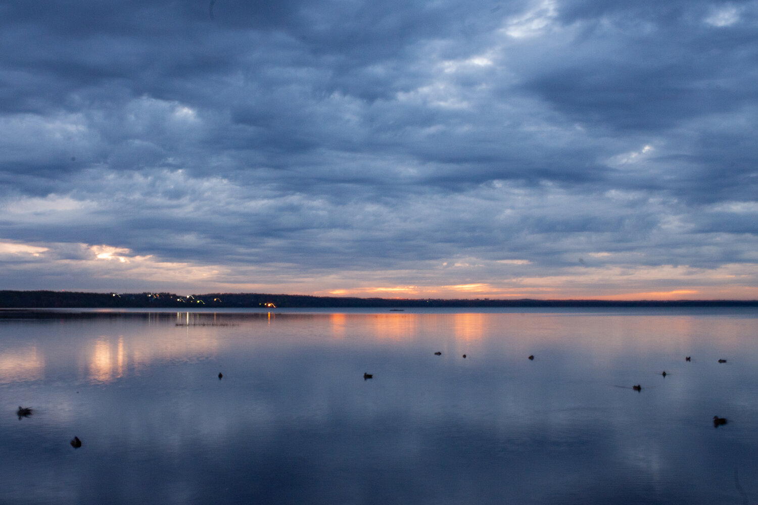 Photo #14166535