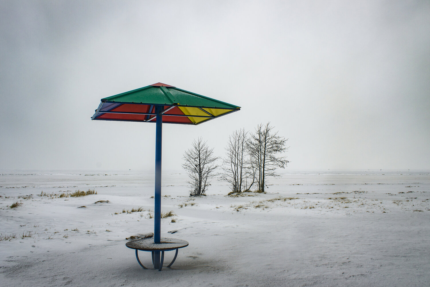 Photo #14166603