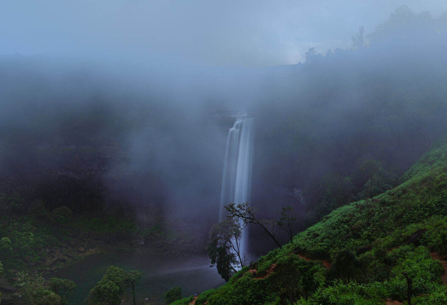 Photo #14167619