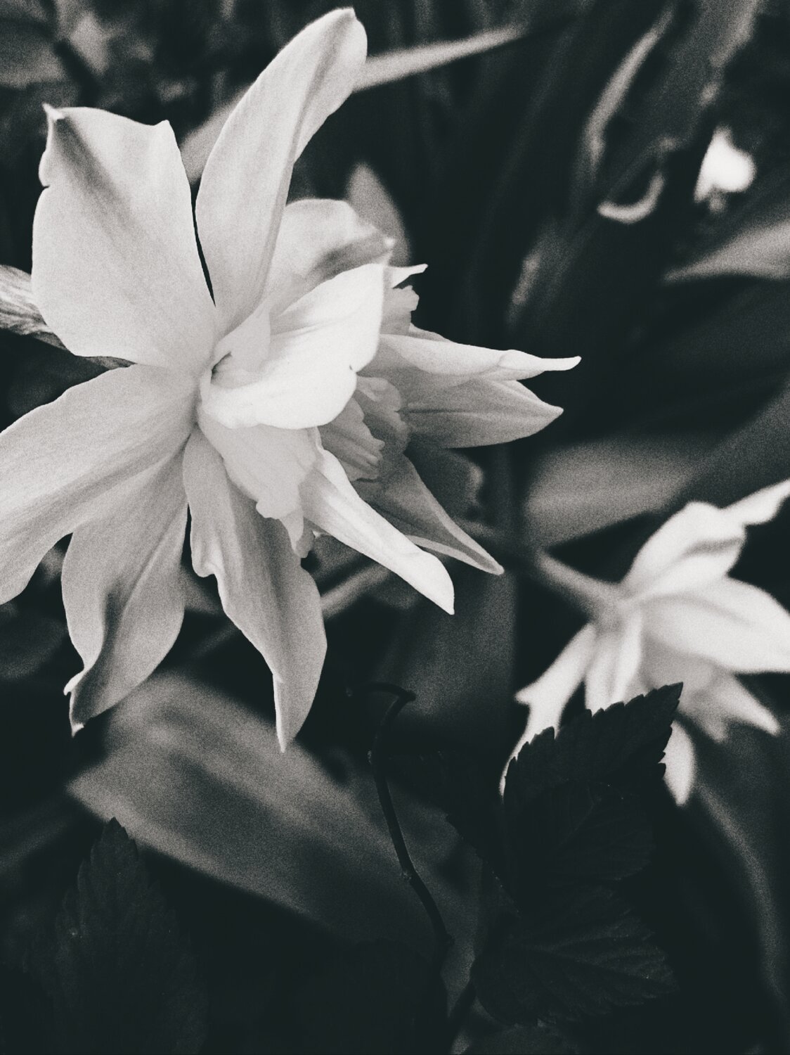 Photo #14167643