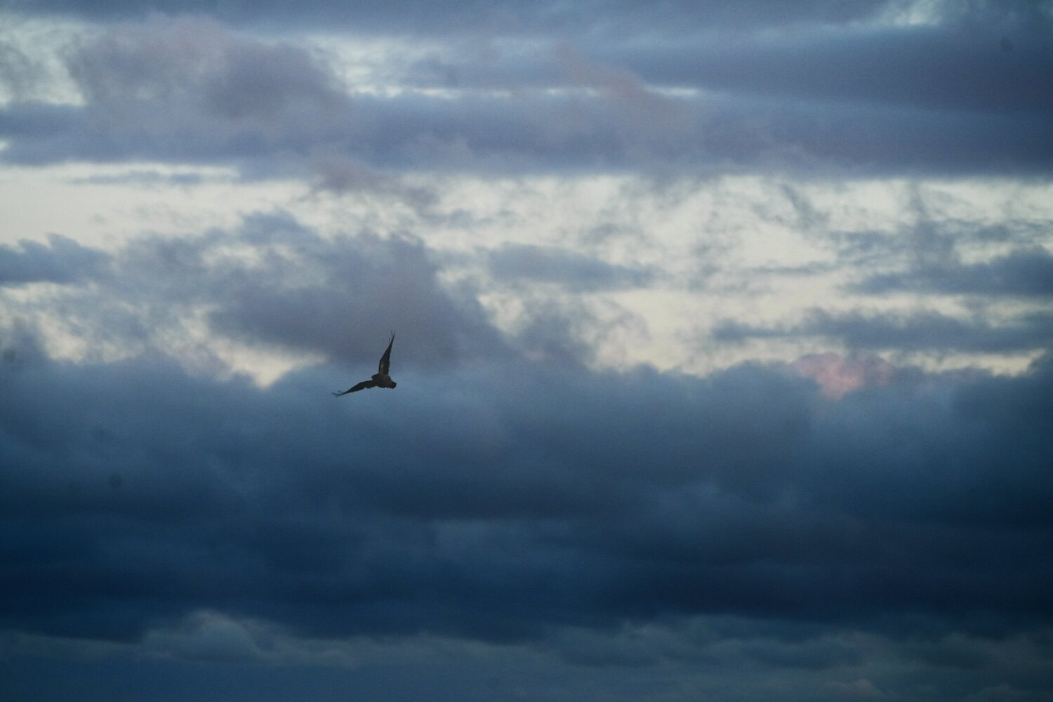 Photo #14167649
