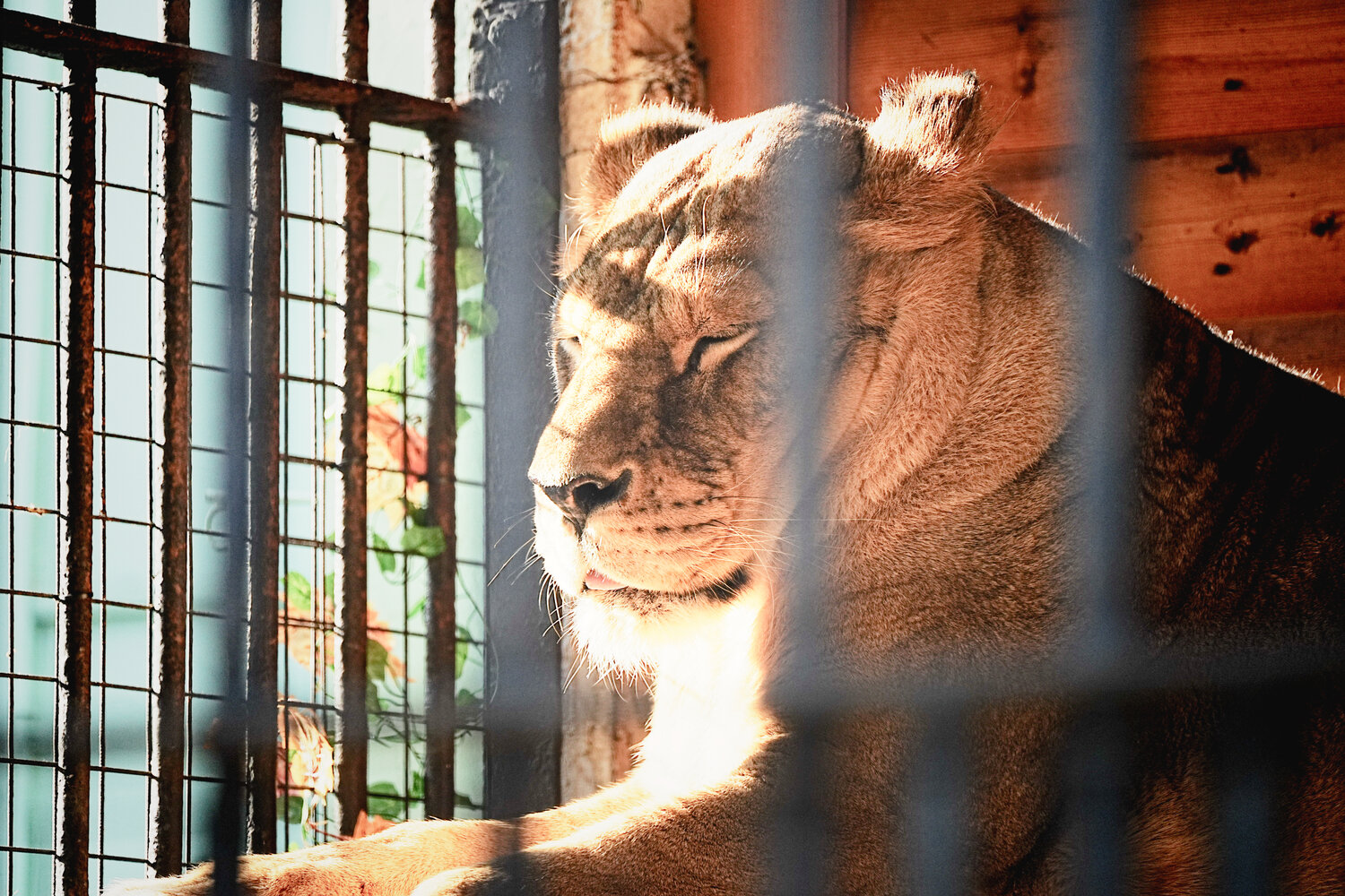 Photo #14167762
