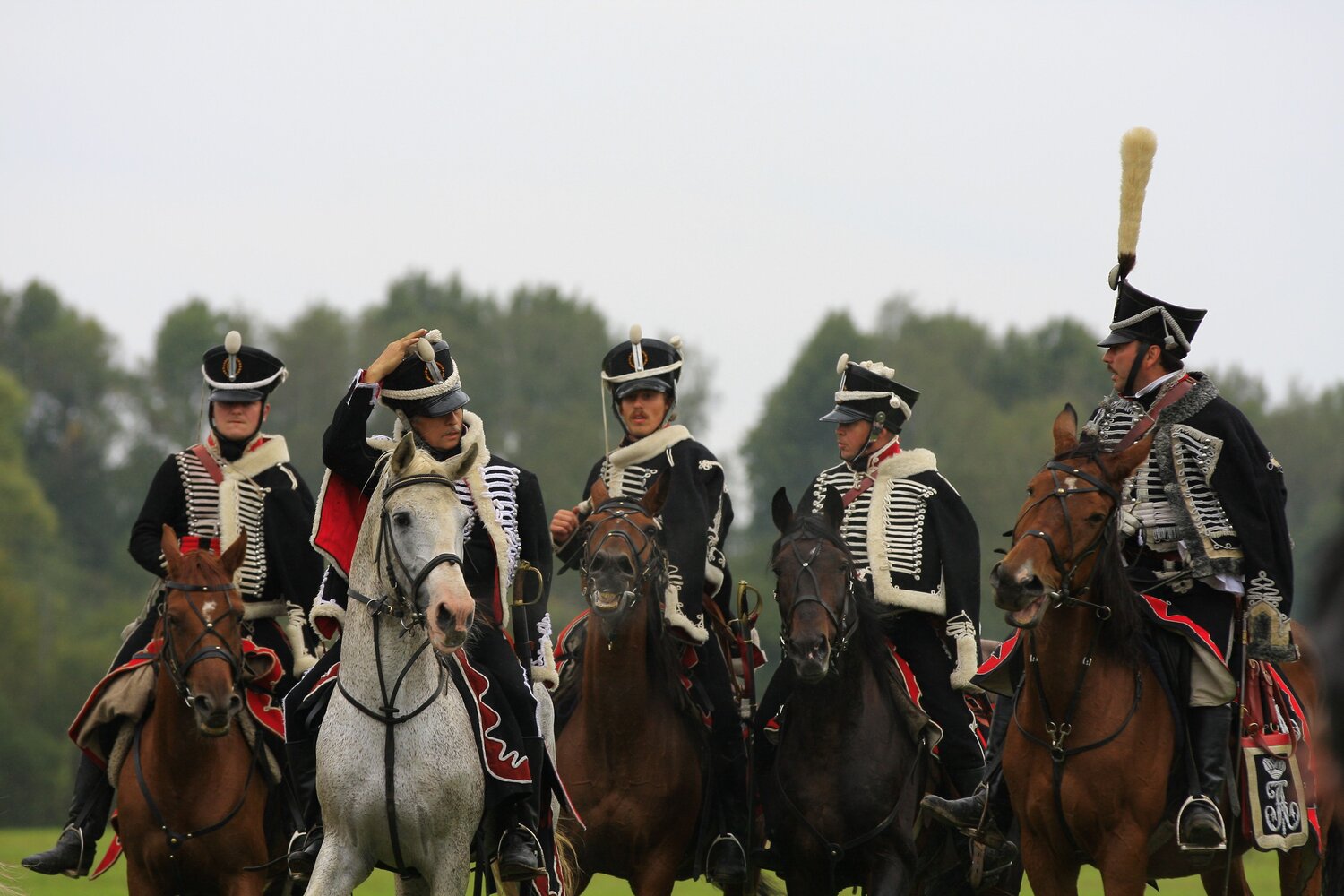 Photo #14167838