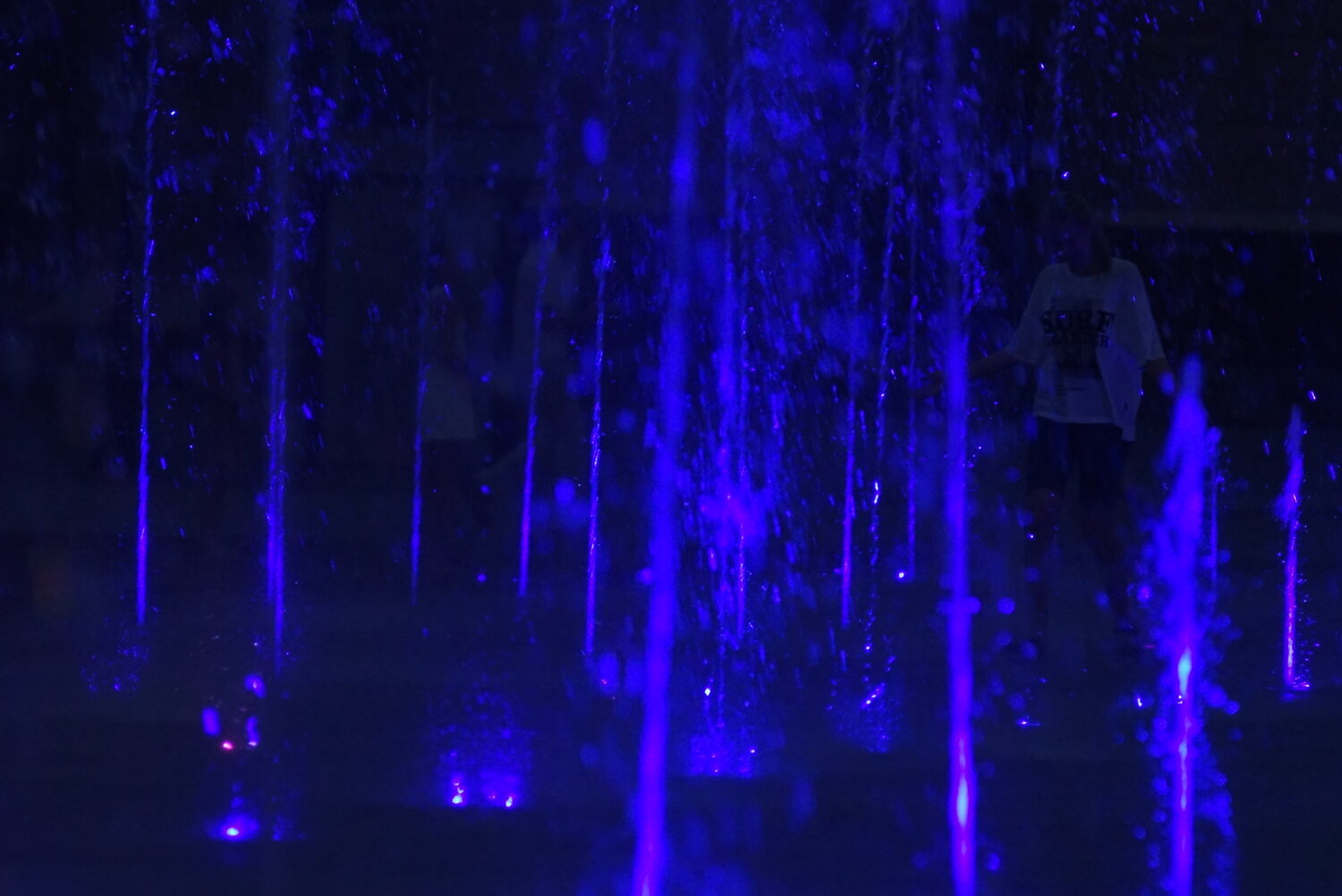 Photo #14168164