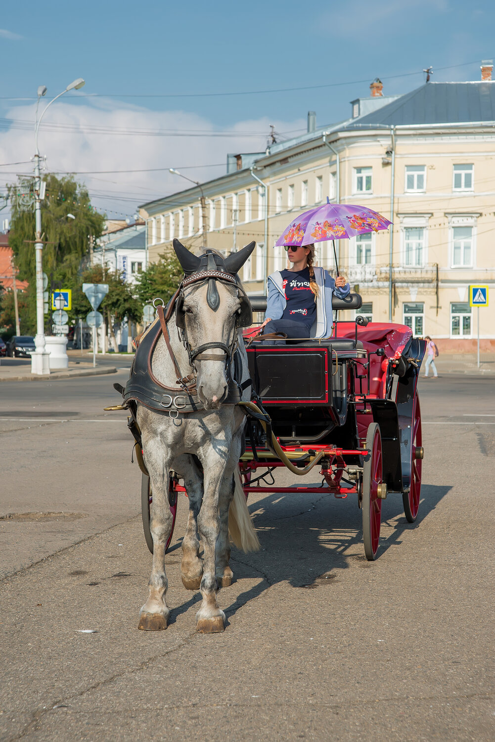 Фотография #14168267