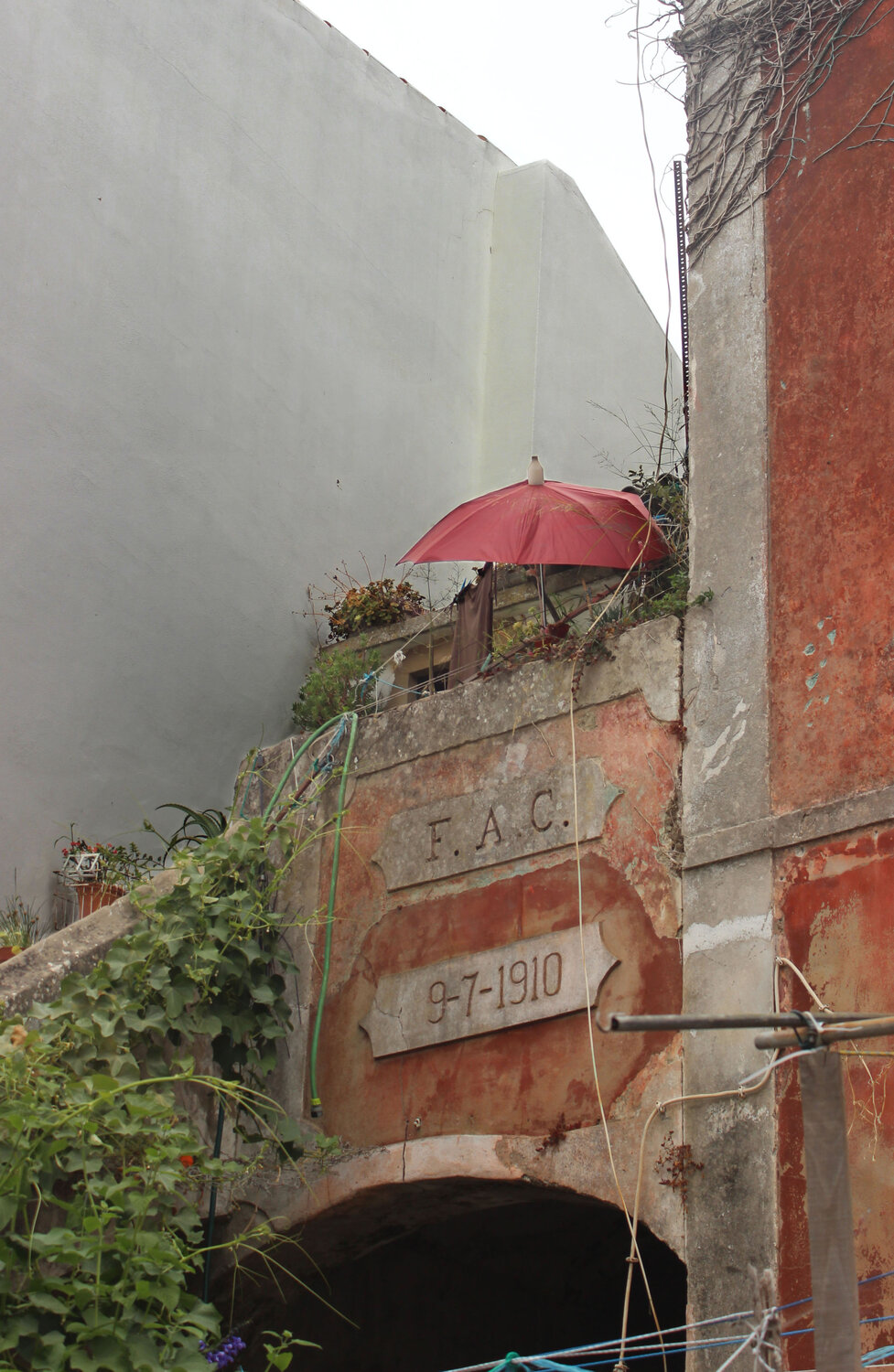 Photo #14168467