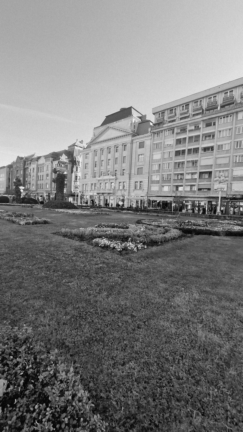 Photo #14168514