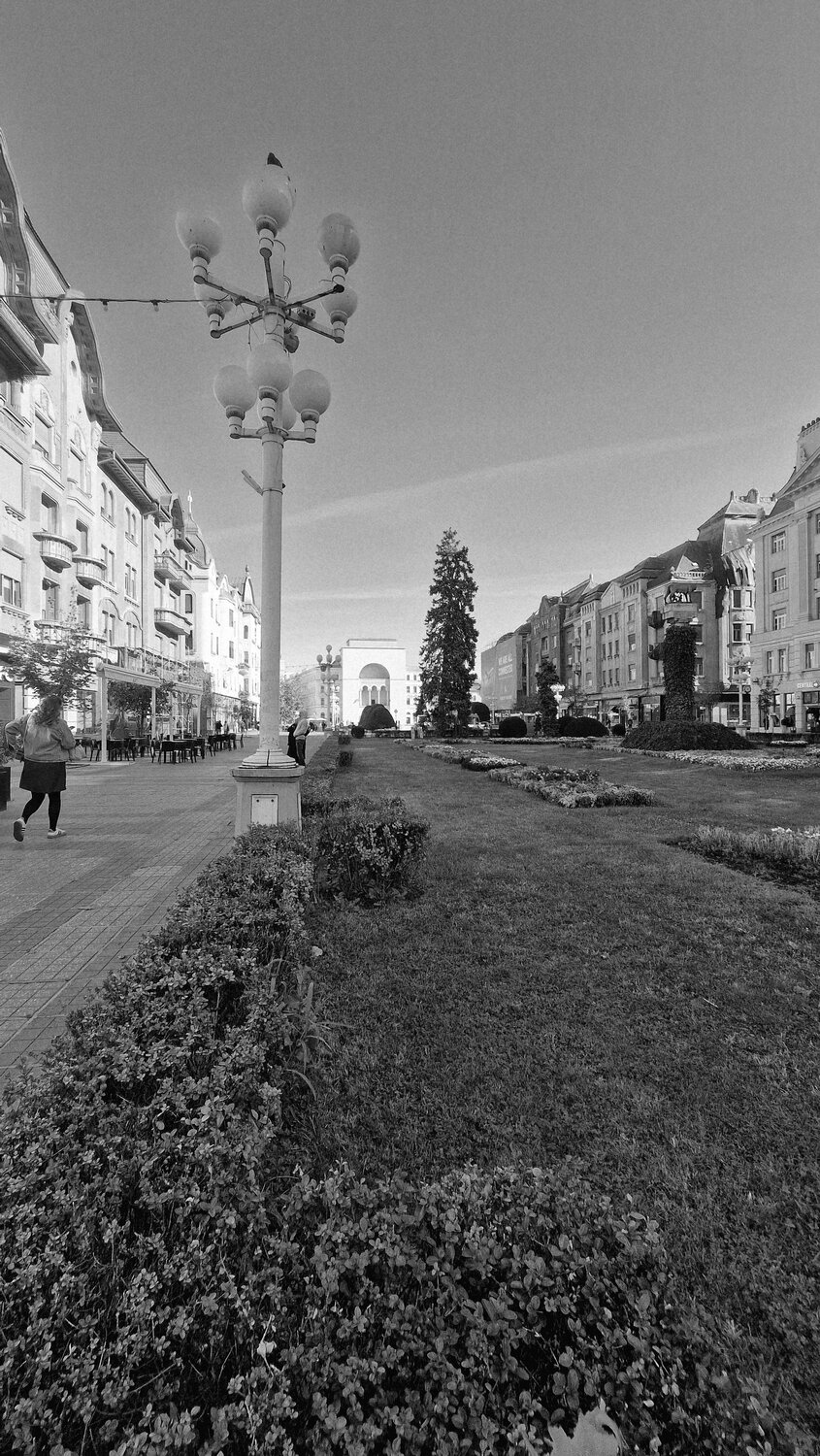 Photo #14168517