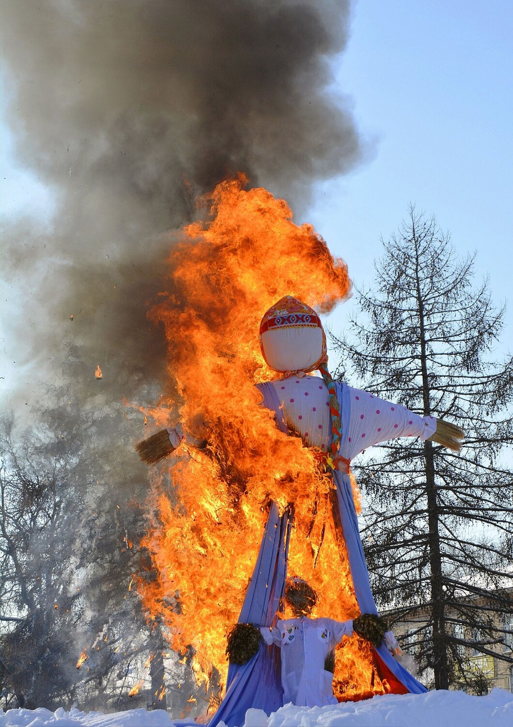 Photo #14168632
