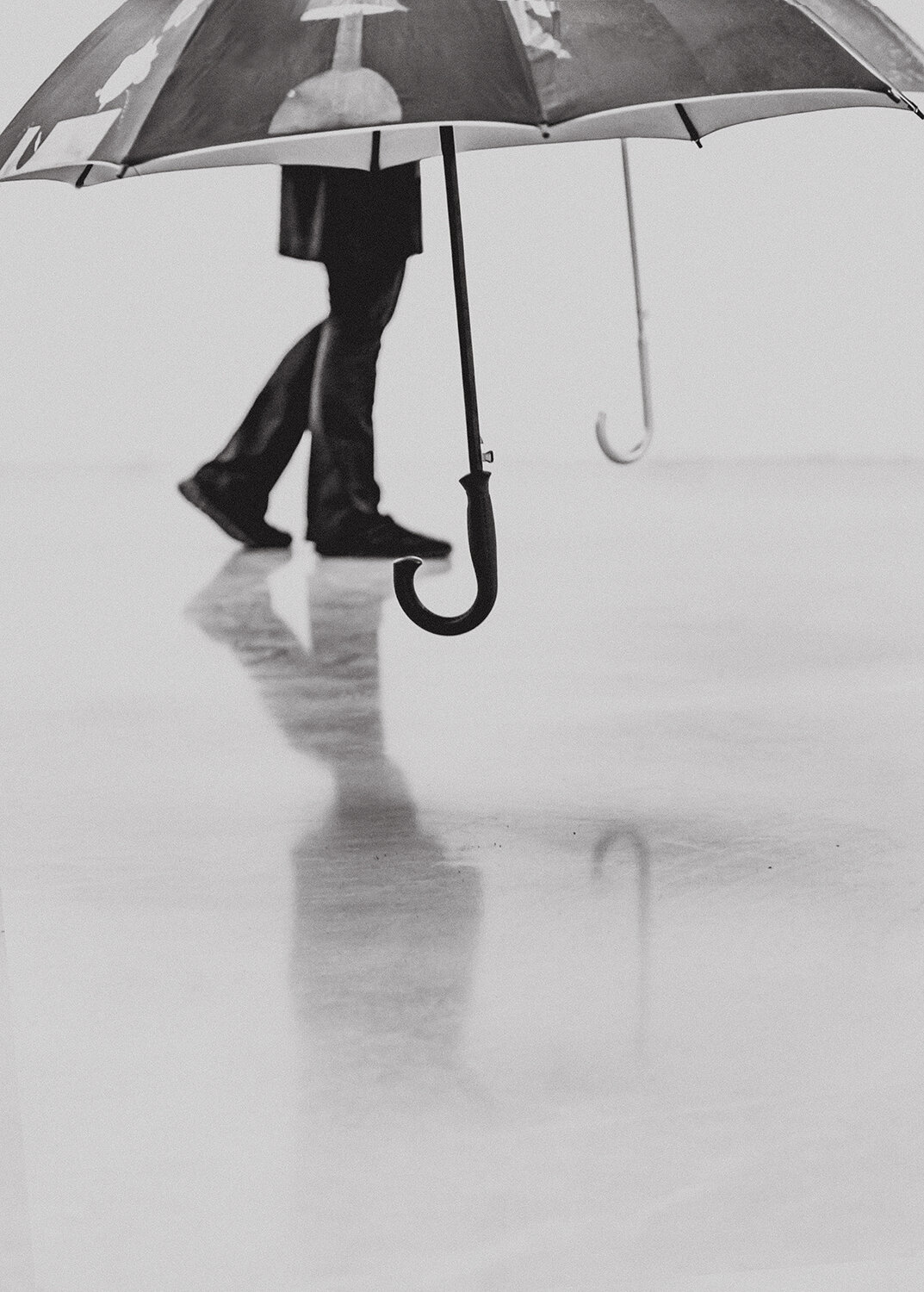 Photo #14169300