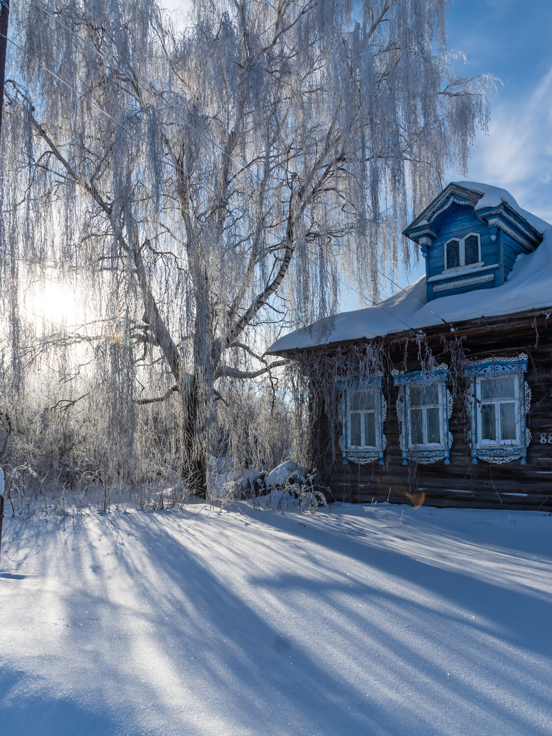 Photo #14169335