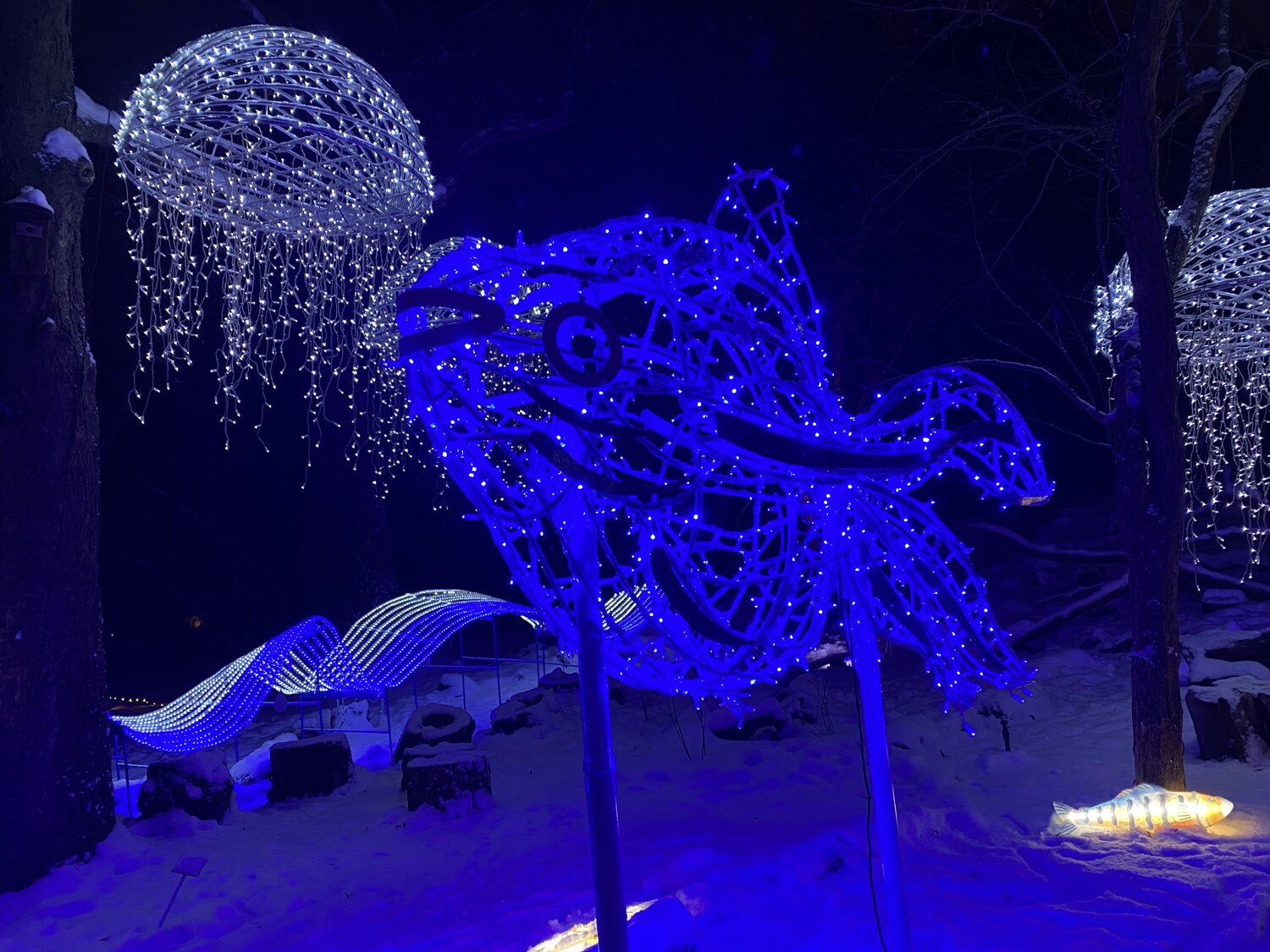 Photo #14169455