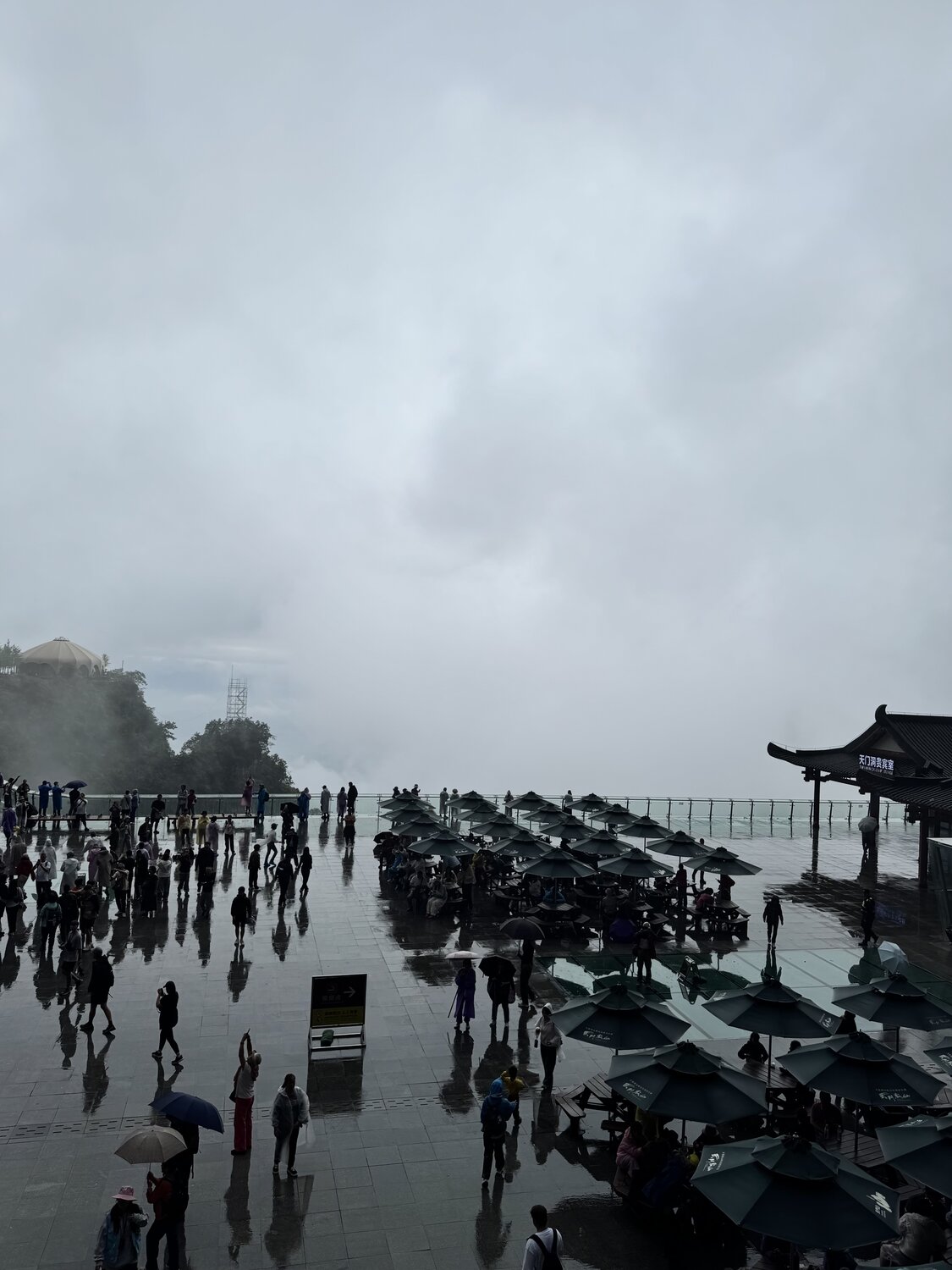 Photo #14169619